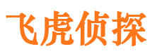 老河口市调查公司